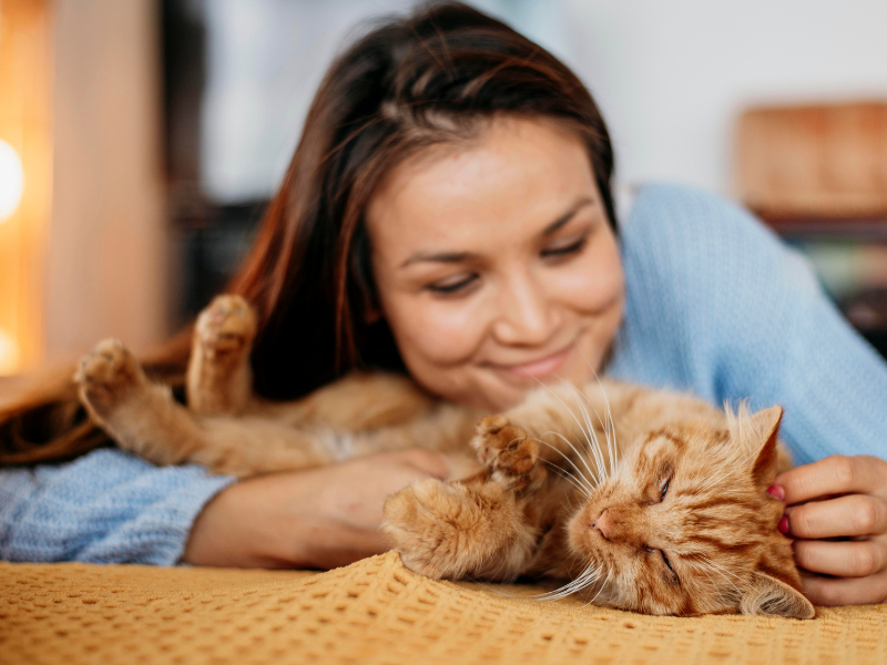 HVAC maintenance tips for pet owners